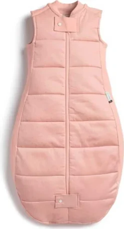 ErgoPouch Baby Schlafsack 2.5TOG 3-12 Monate Berries